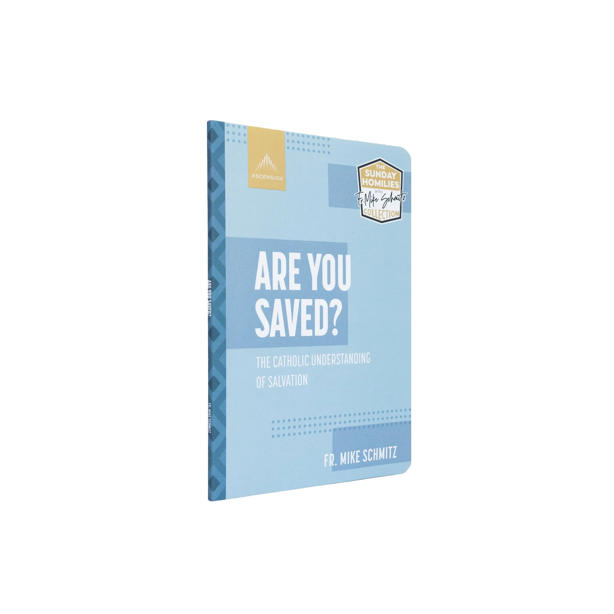 Are You Saved? The Catholic Understanding of Salvation - Image 2
