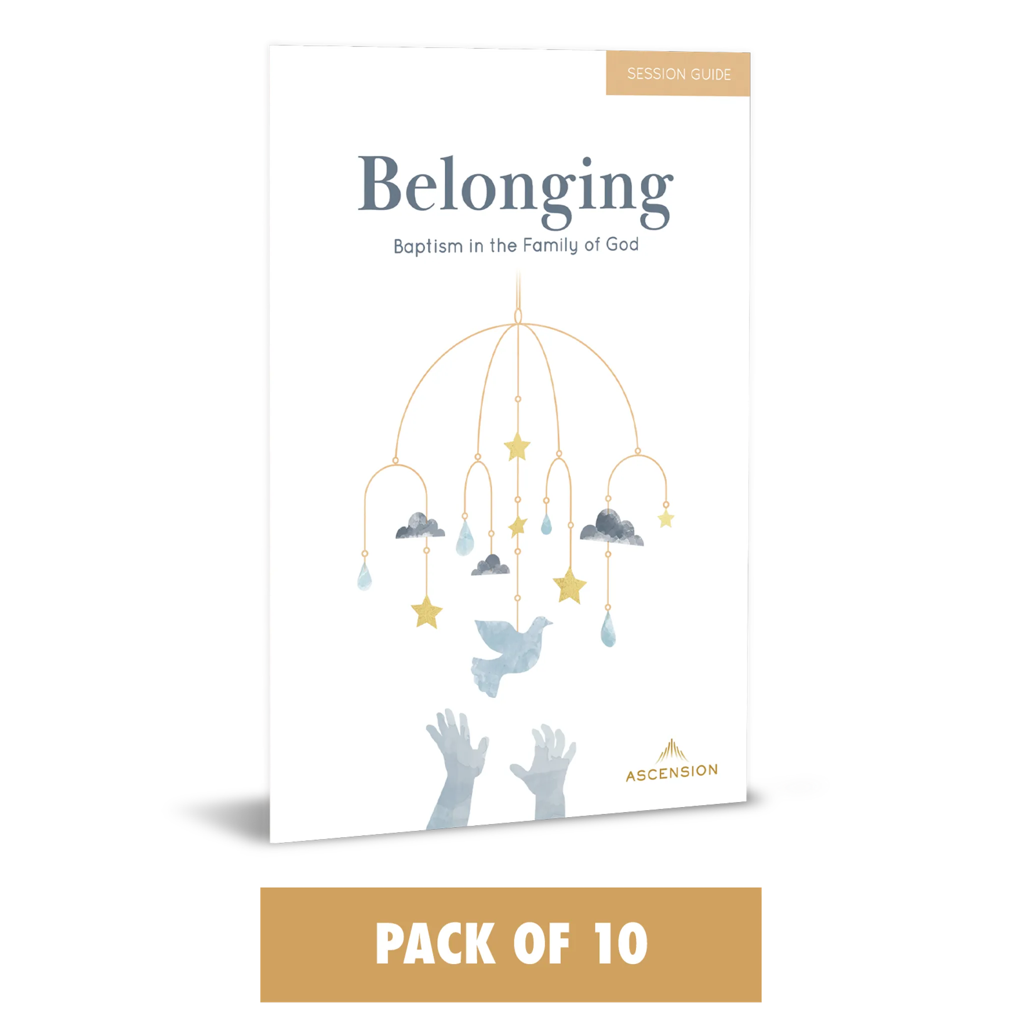 Belonging: Baptism in the Family of God, Session Guide - Image 10