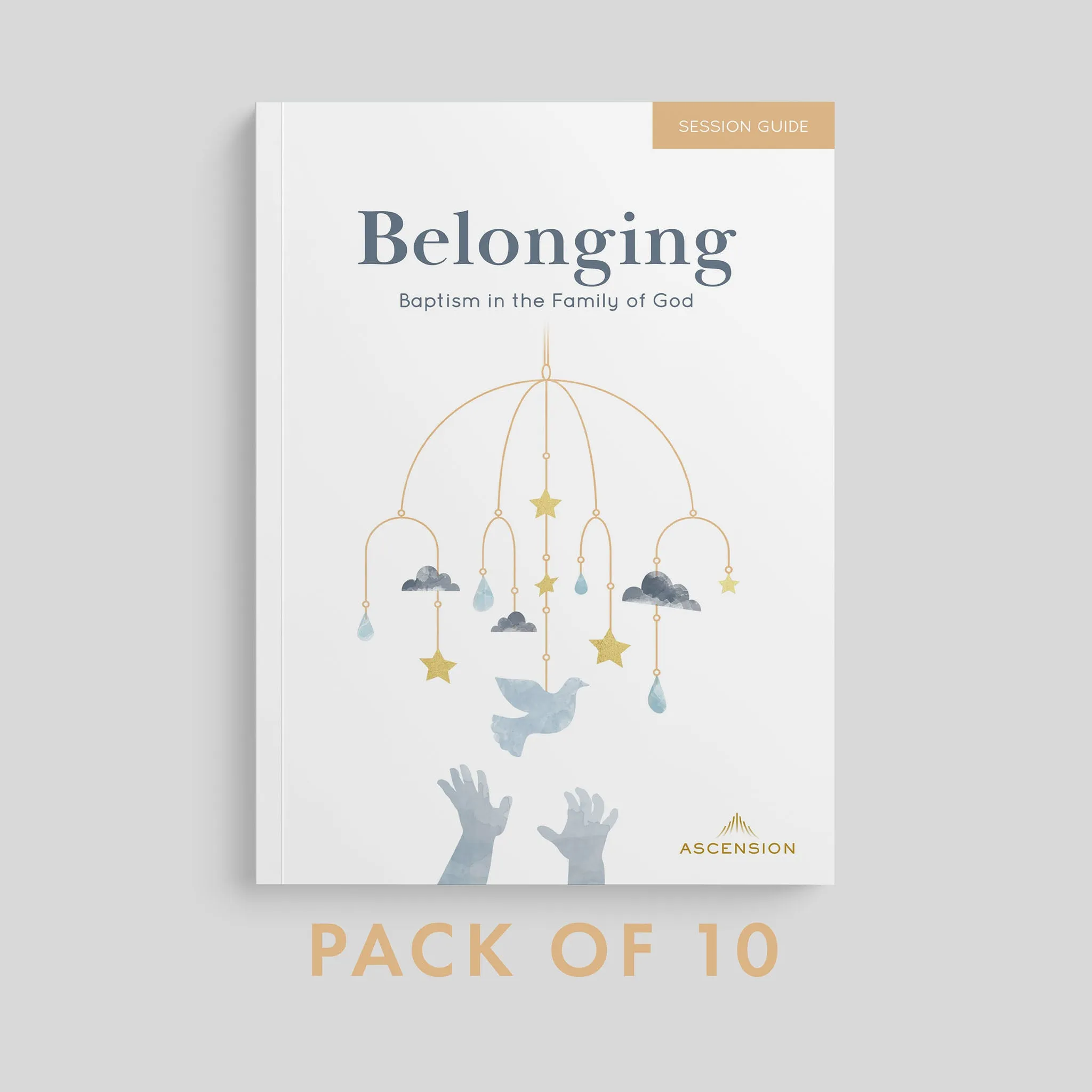 Belonging: Baptism in the Family of God, Session Guide - Image 14