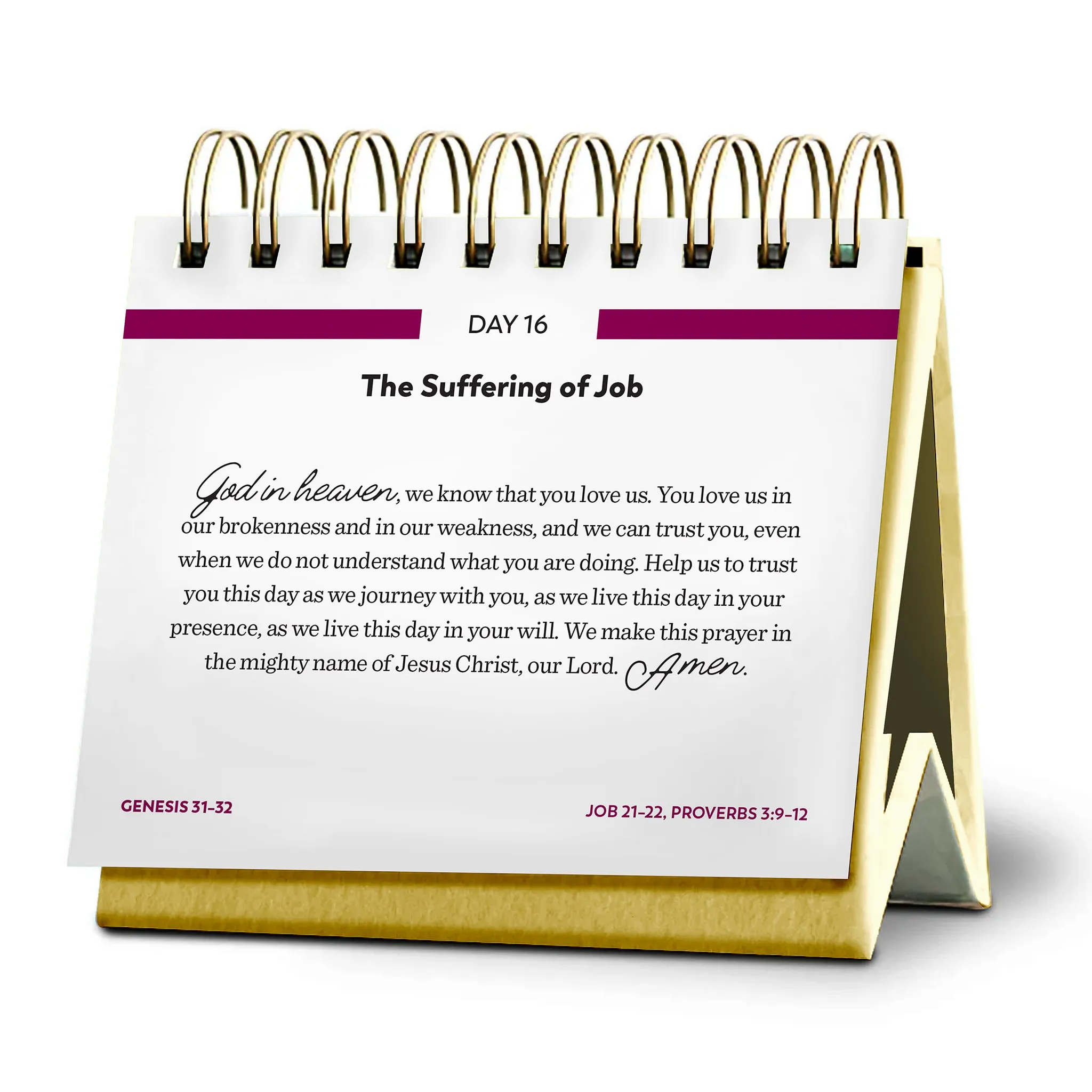 Bible in a Year Perpetual Daily Calendar - Image 5