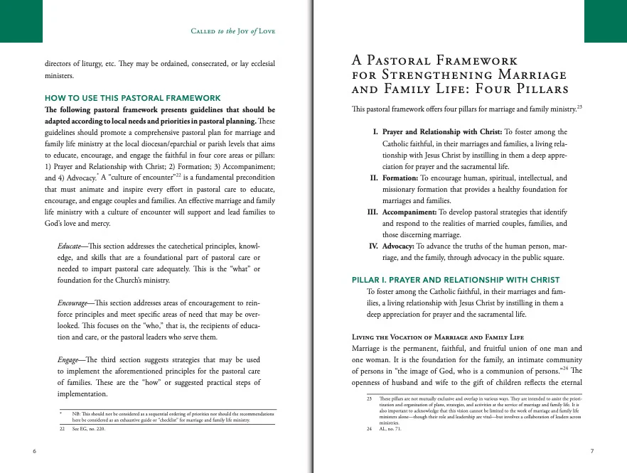 Called to the Joy of Love: A National Pastoral Framework for Marriage and Family Life Ministry - Image 4