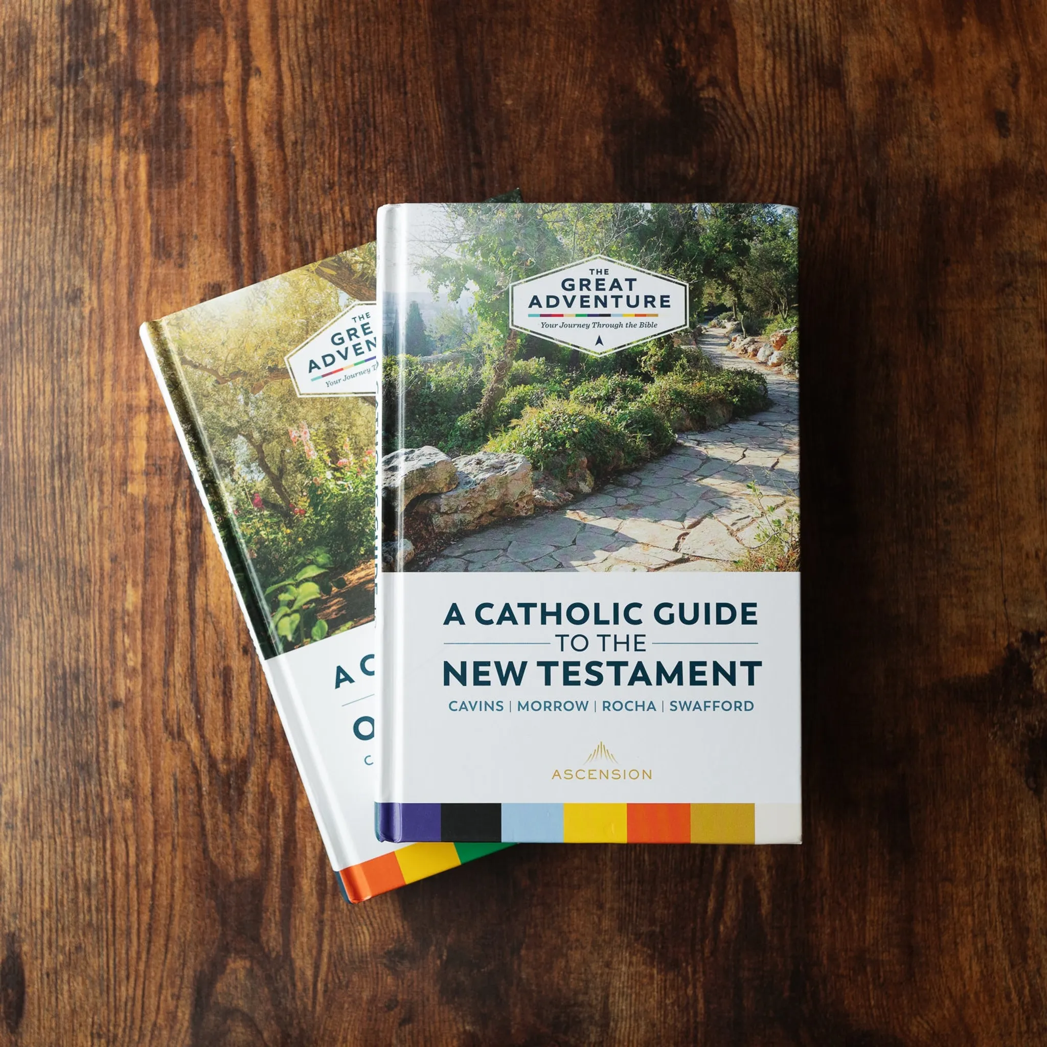 A Catholic Guide to the New Testament - Image 11