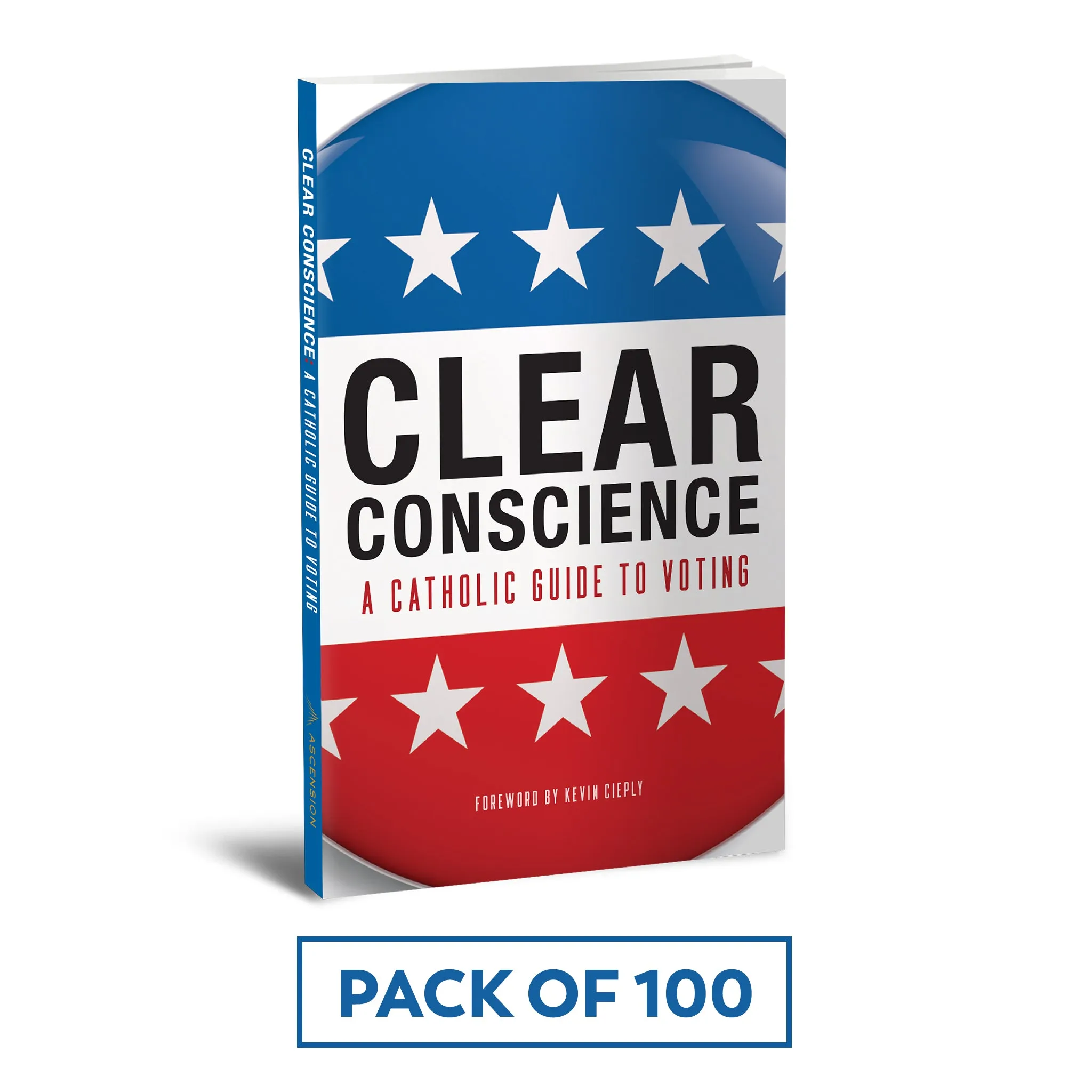 Clear Conscience: A Catholic Guide to Voting - Image 8