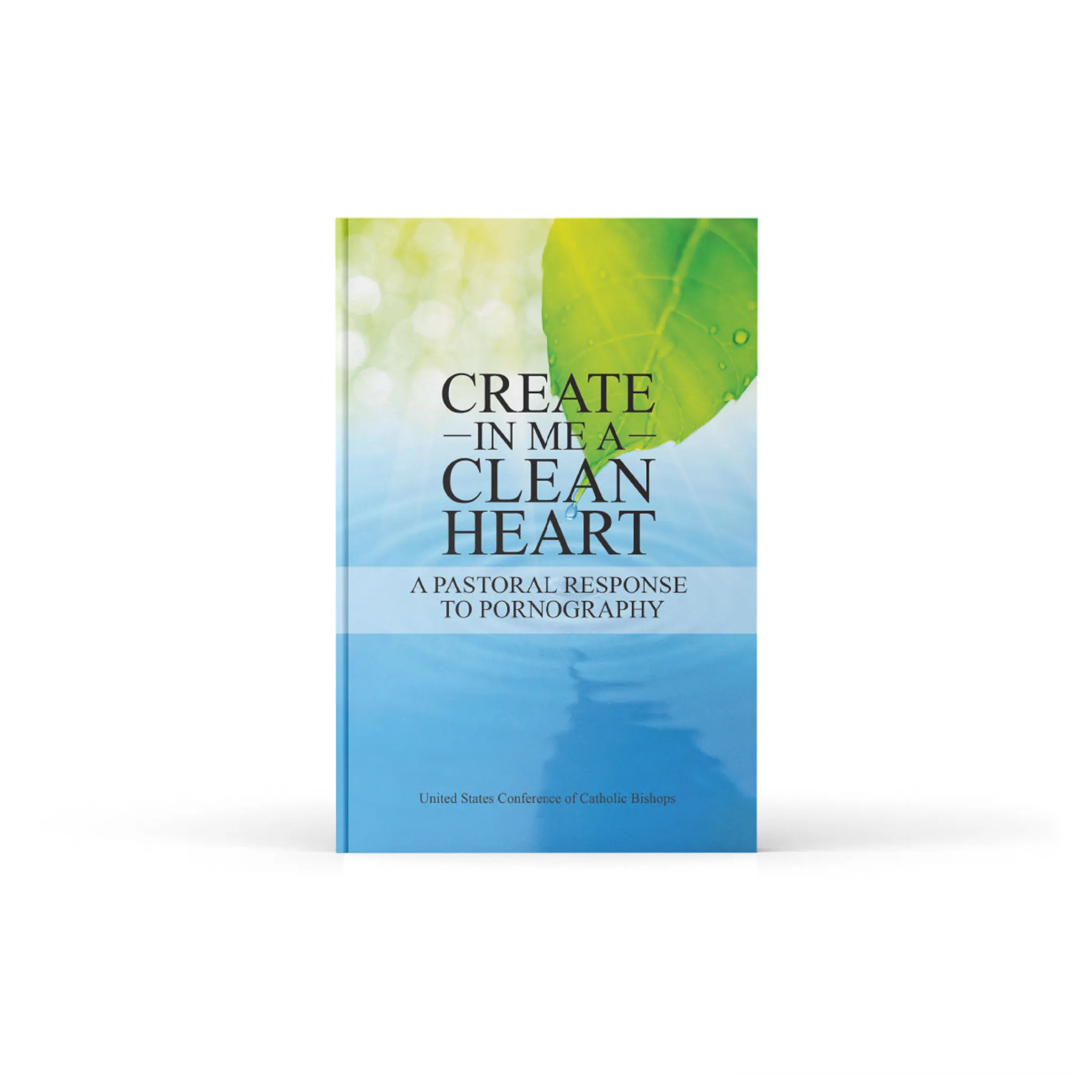 Create in Me a Pure Heart: A Pastoral Response to Pornography - Image 2