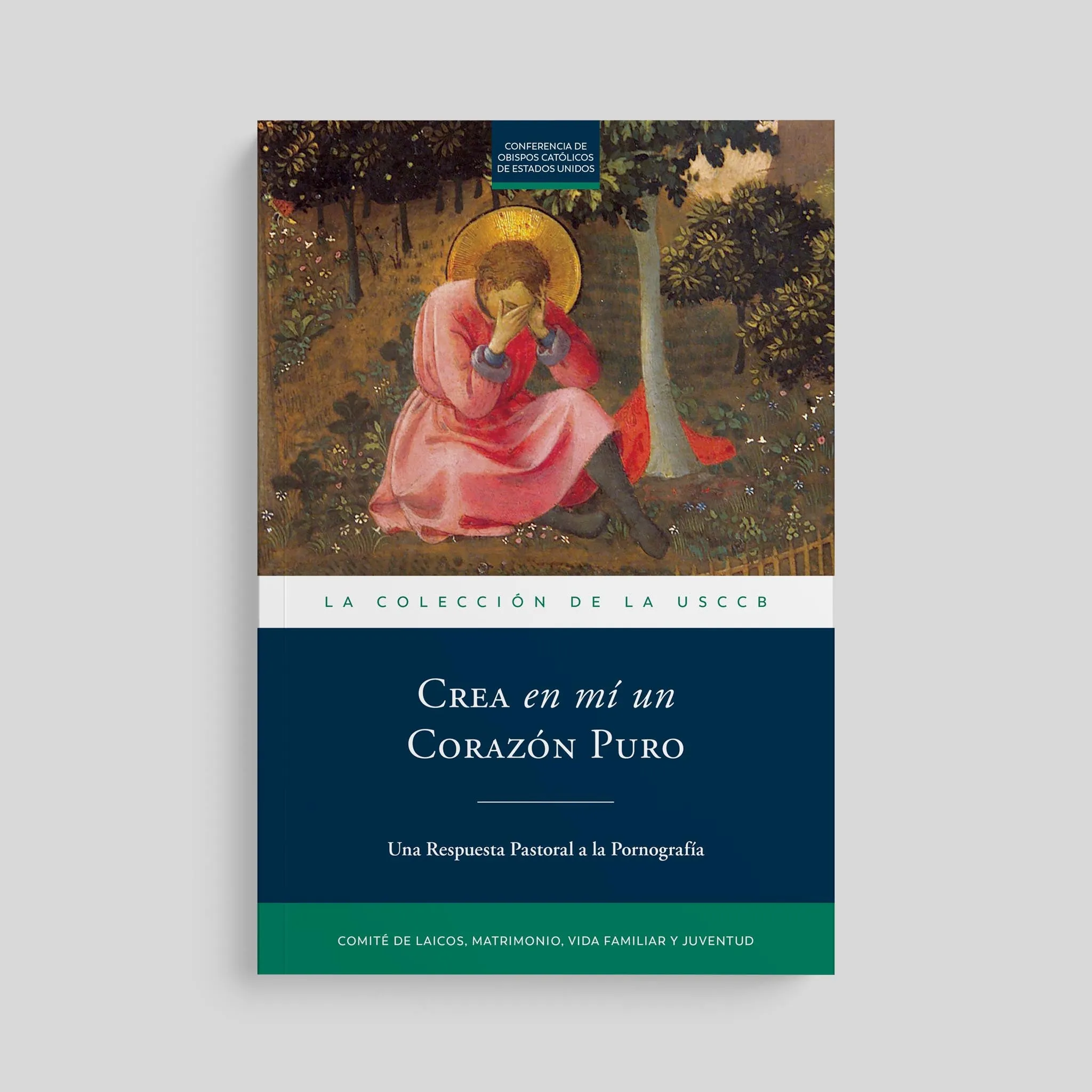 Create in Me a Pure Heart: A Pastoral Response to Pornography - Image 3