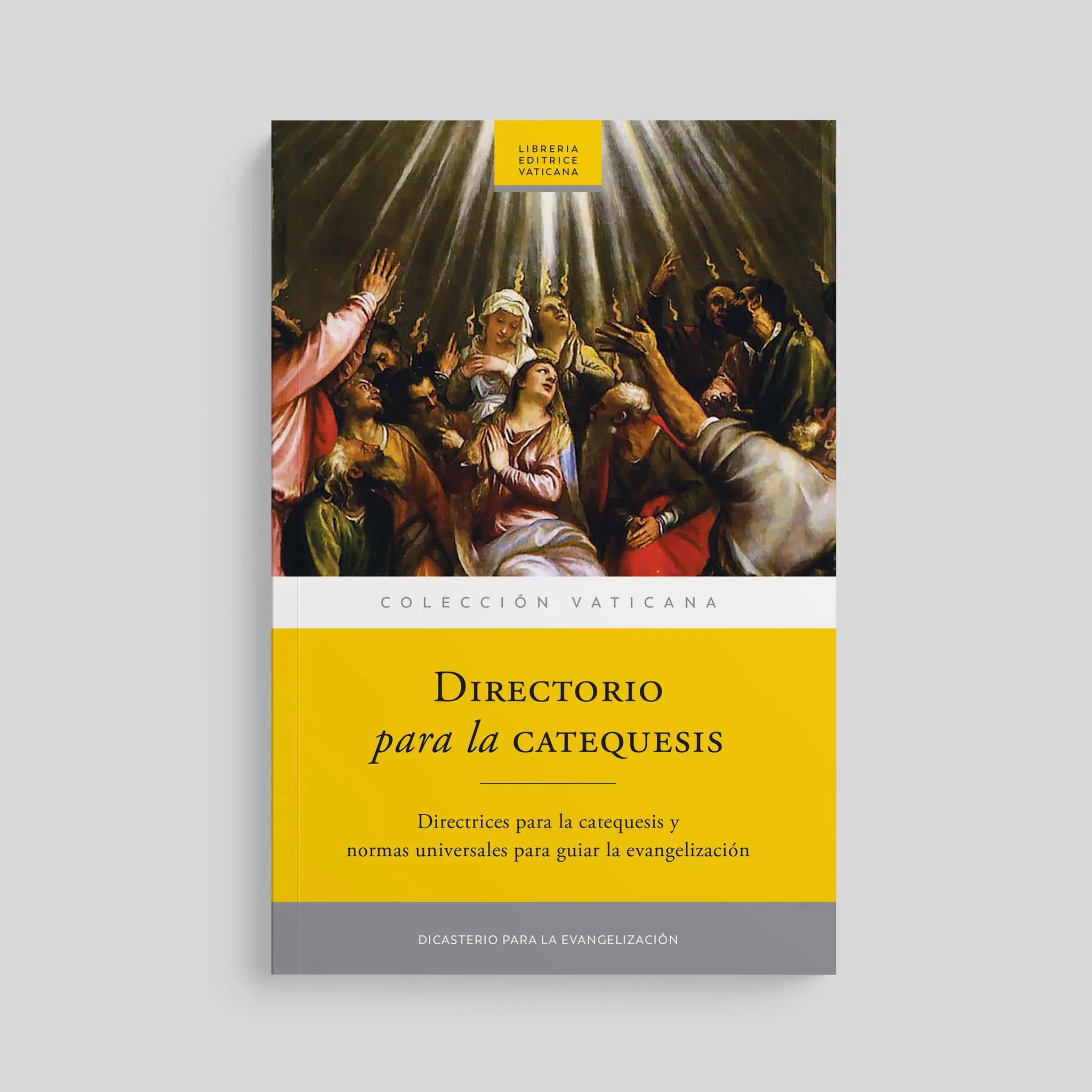 Directory for Catechesis - Image 6