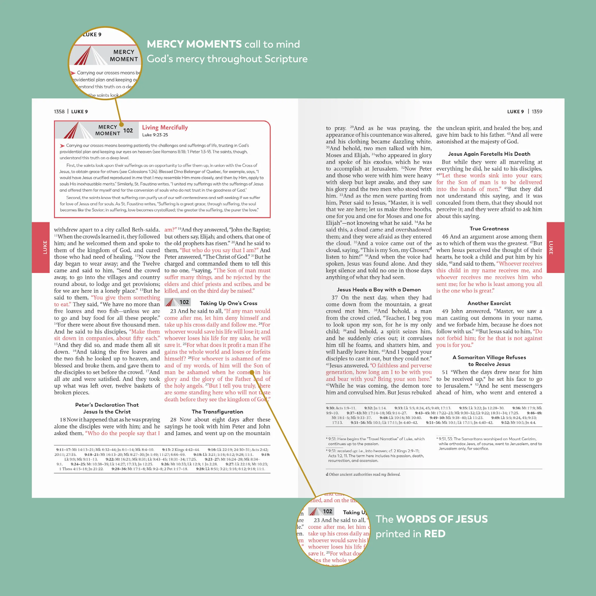 Divine Mercy Catholic Bible - Image 5