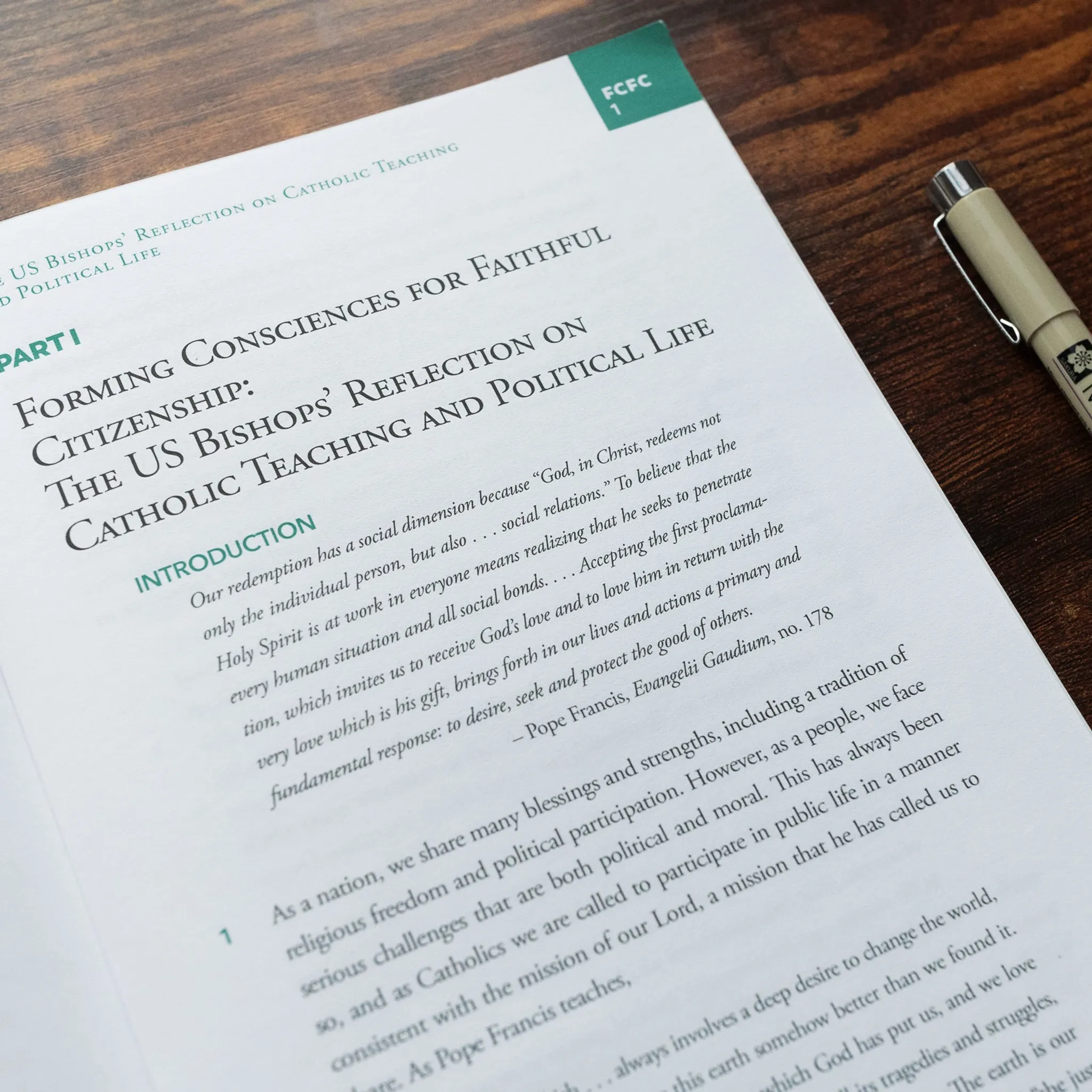 Forming Consciences for Faithful Citizenship: A Call to Political Responsibility - Image 10