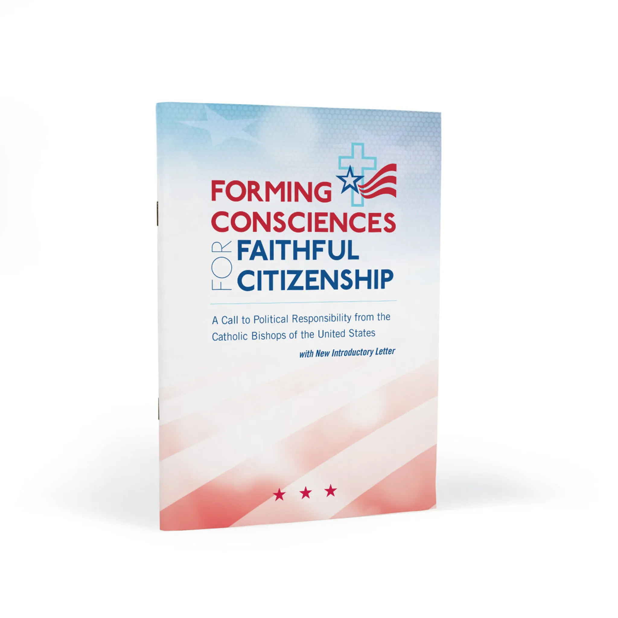 Forming Consciences for Faithful Citizenship: A Call to Political Responsibility - Image 14