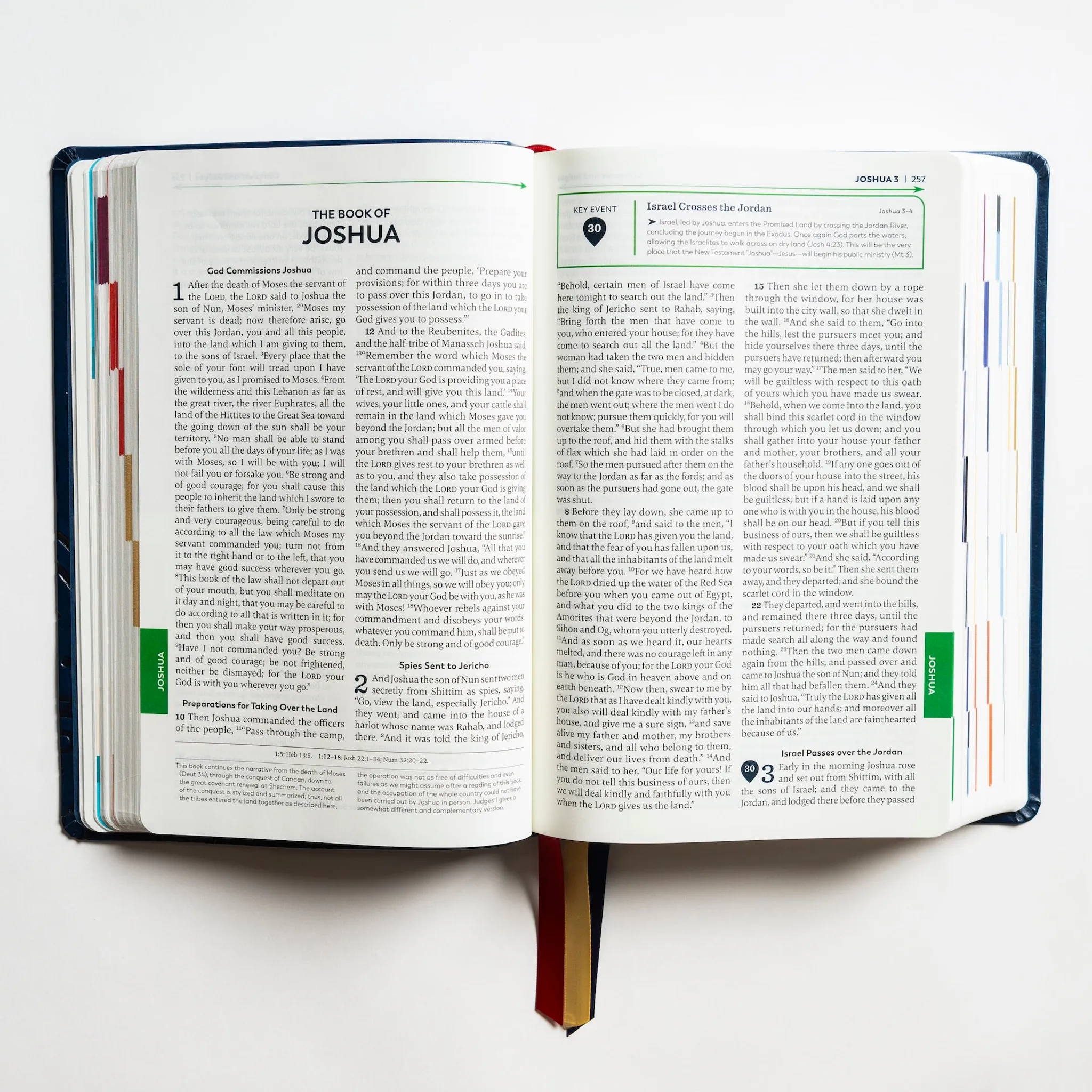 Holy Bible - The Great Adventure Catholic Bible, Second Edition - Image 8