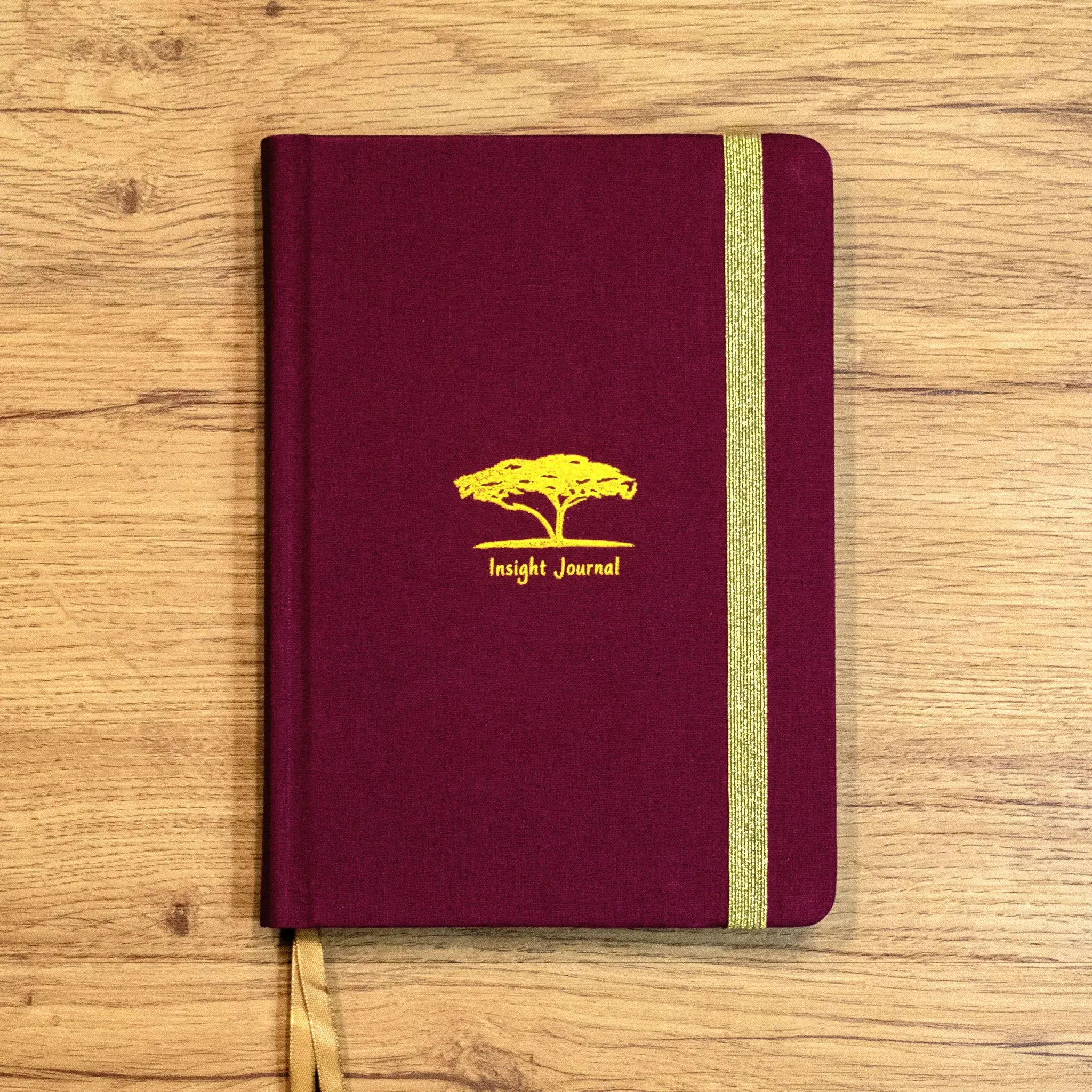 Insight Journal