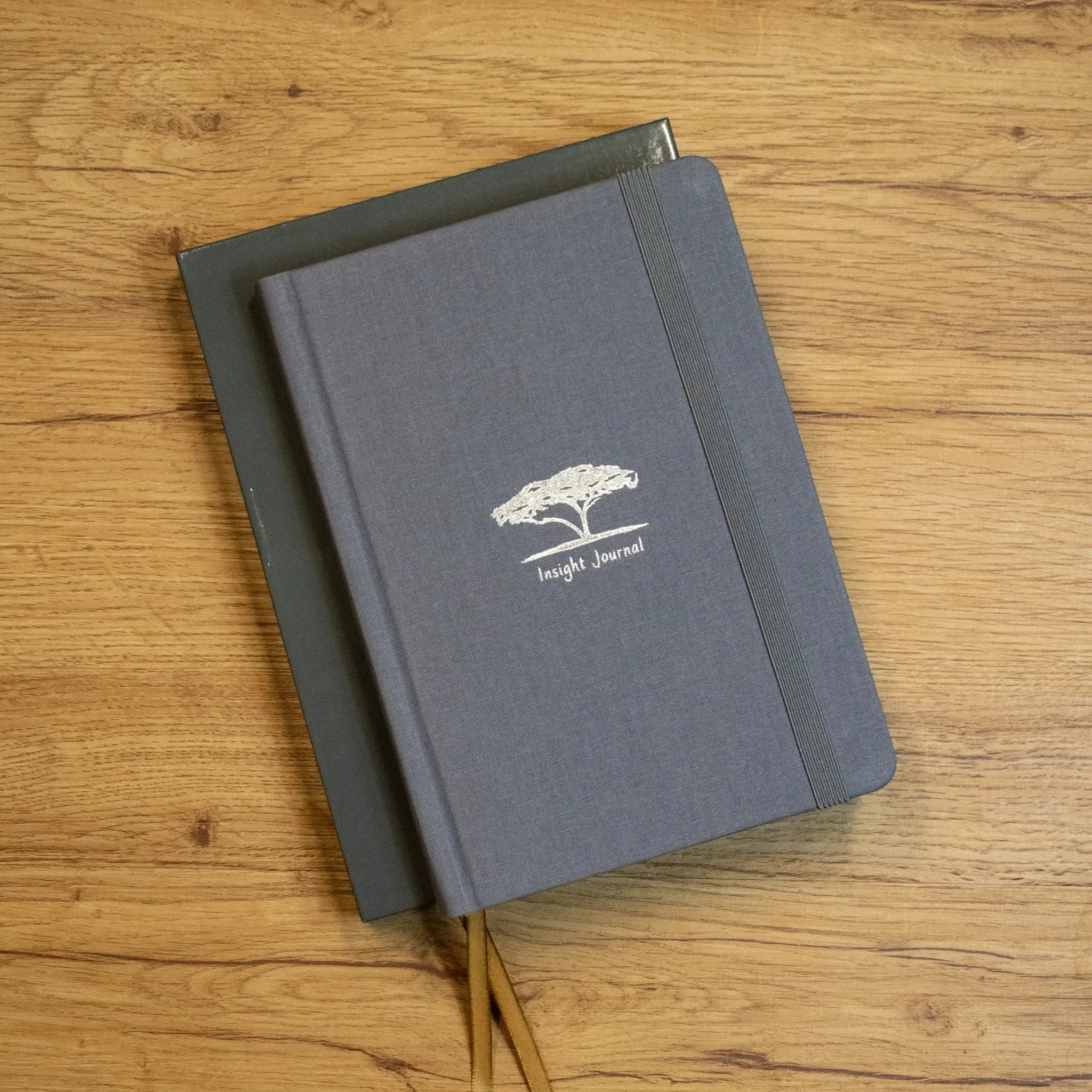 Insight Journal - Image 10