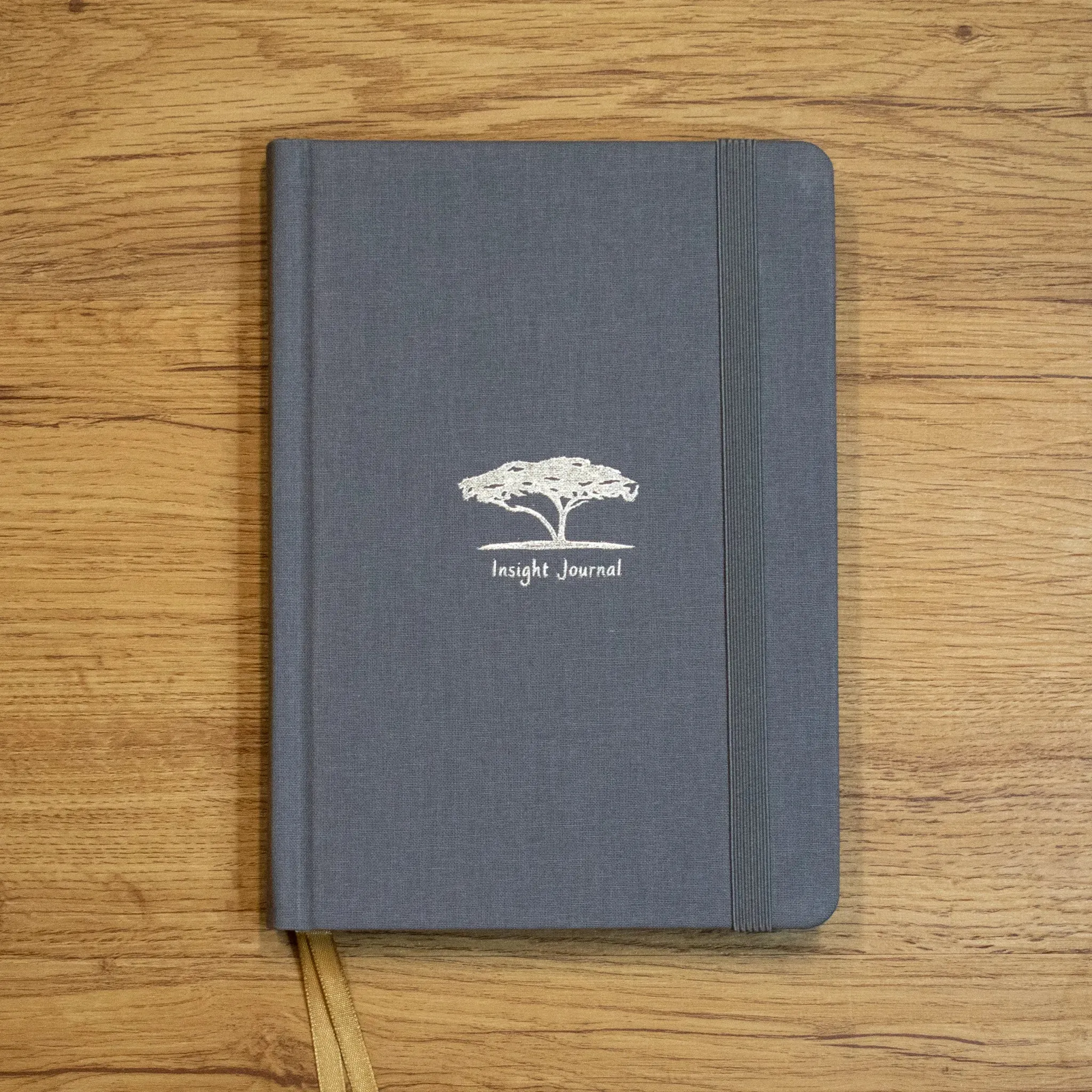 Insight Journal - Image 9
