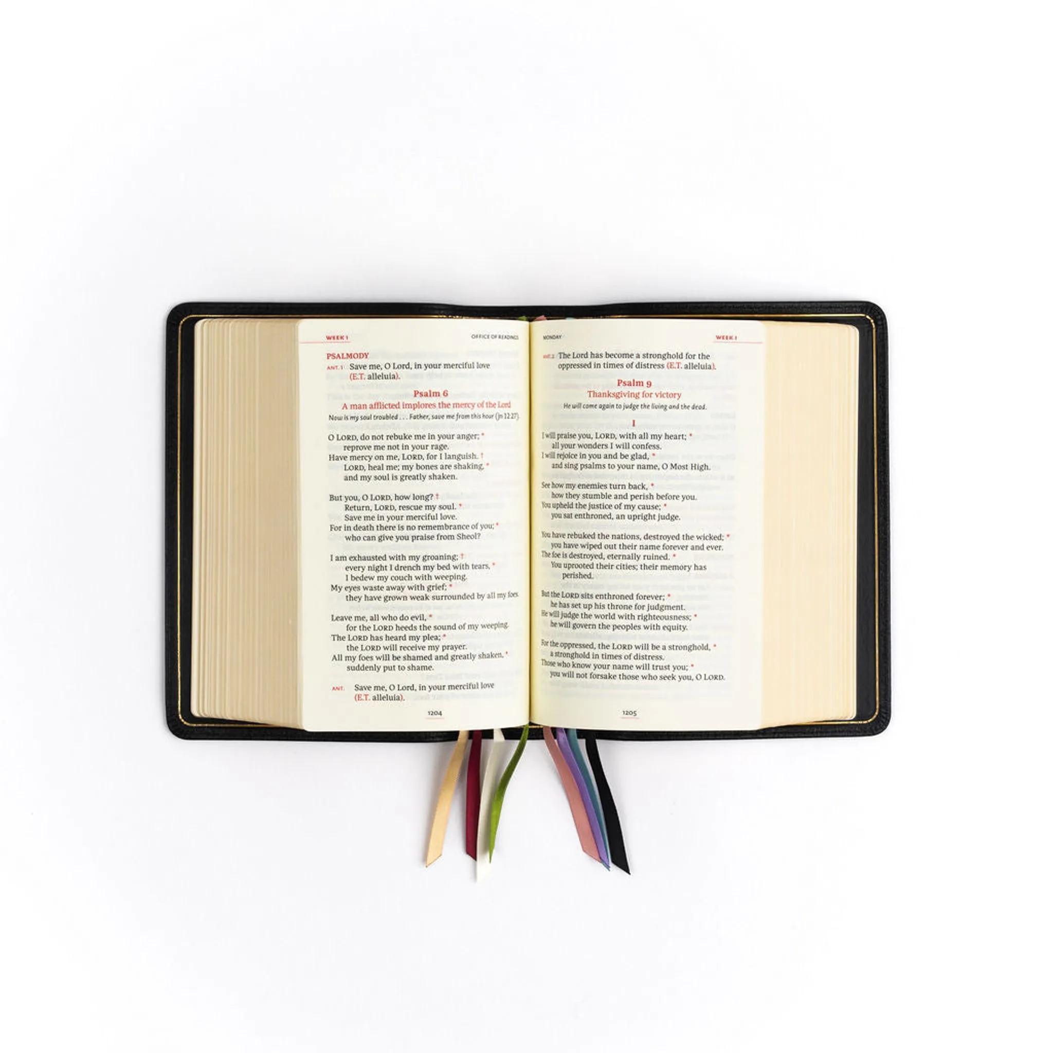 The Liturgy of the Hours, Second Edition - Volume II - Image 49