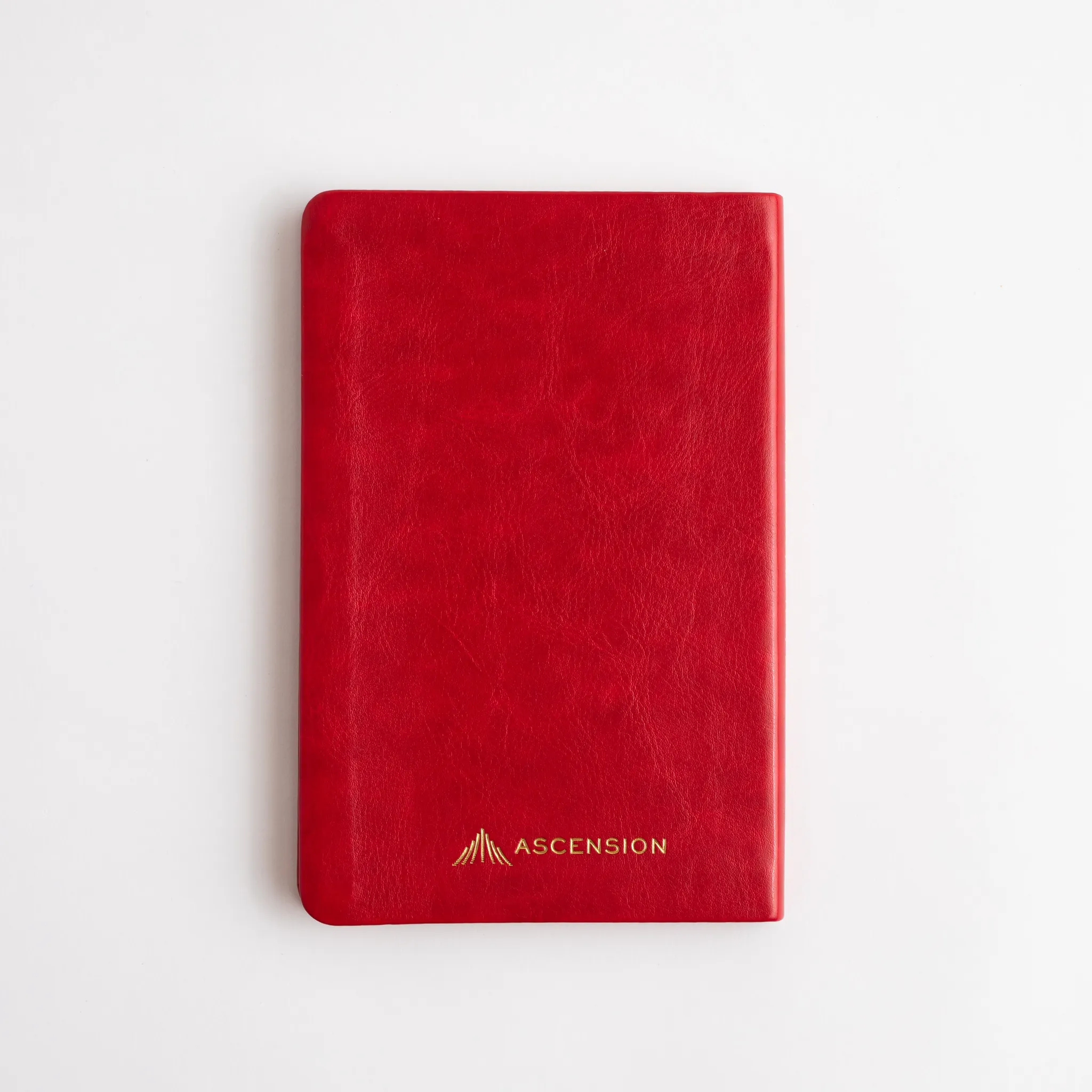 Prayers to Protect Us: A Collection of Prayers, Litanies, Hymns, and Readings - Image 4