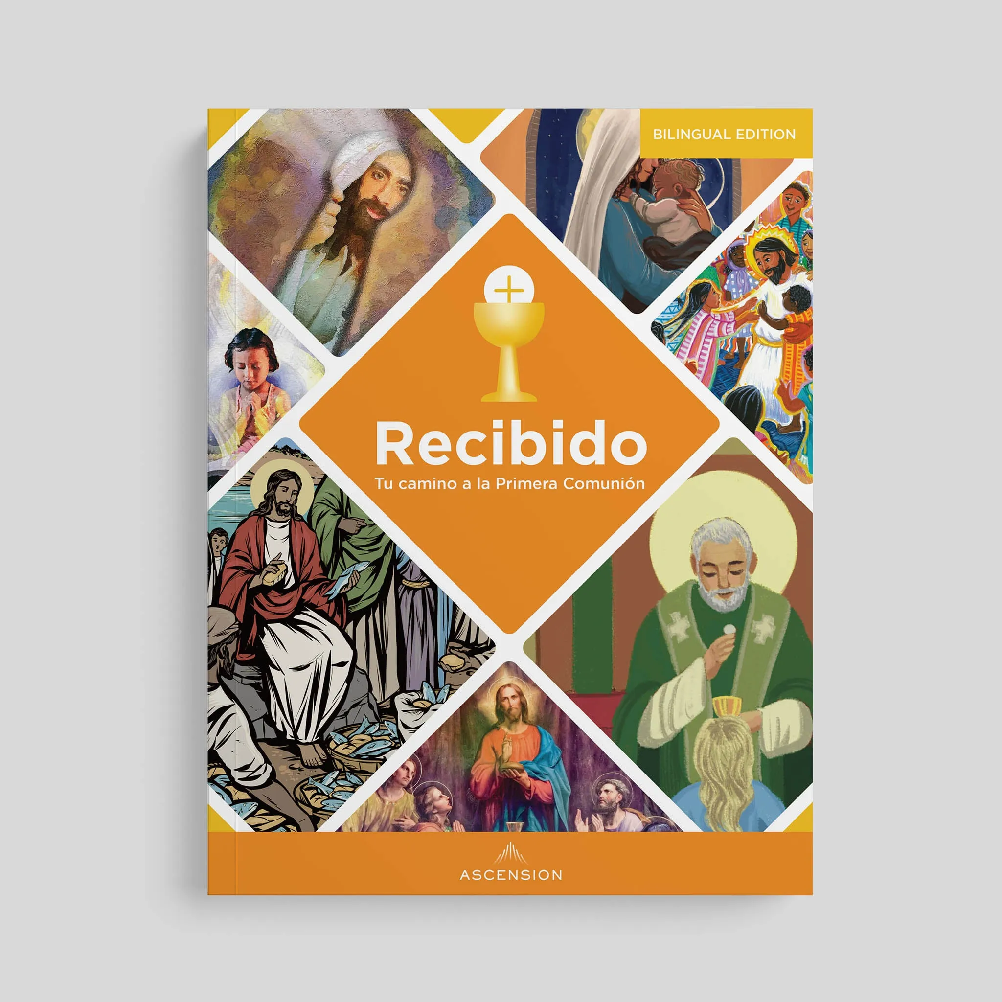 Received Second Edition: Your Journey to First Communion Student Workbook only - Image 4