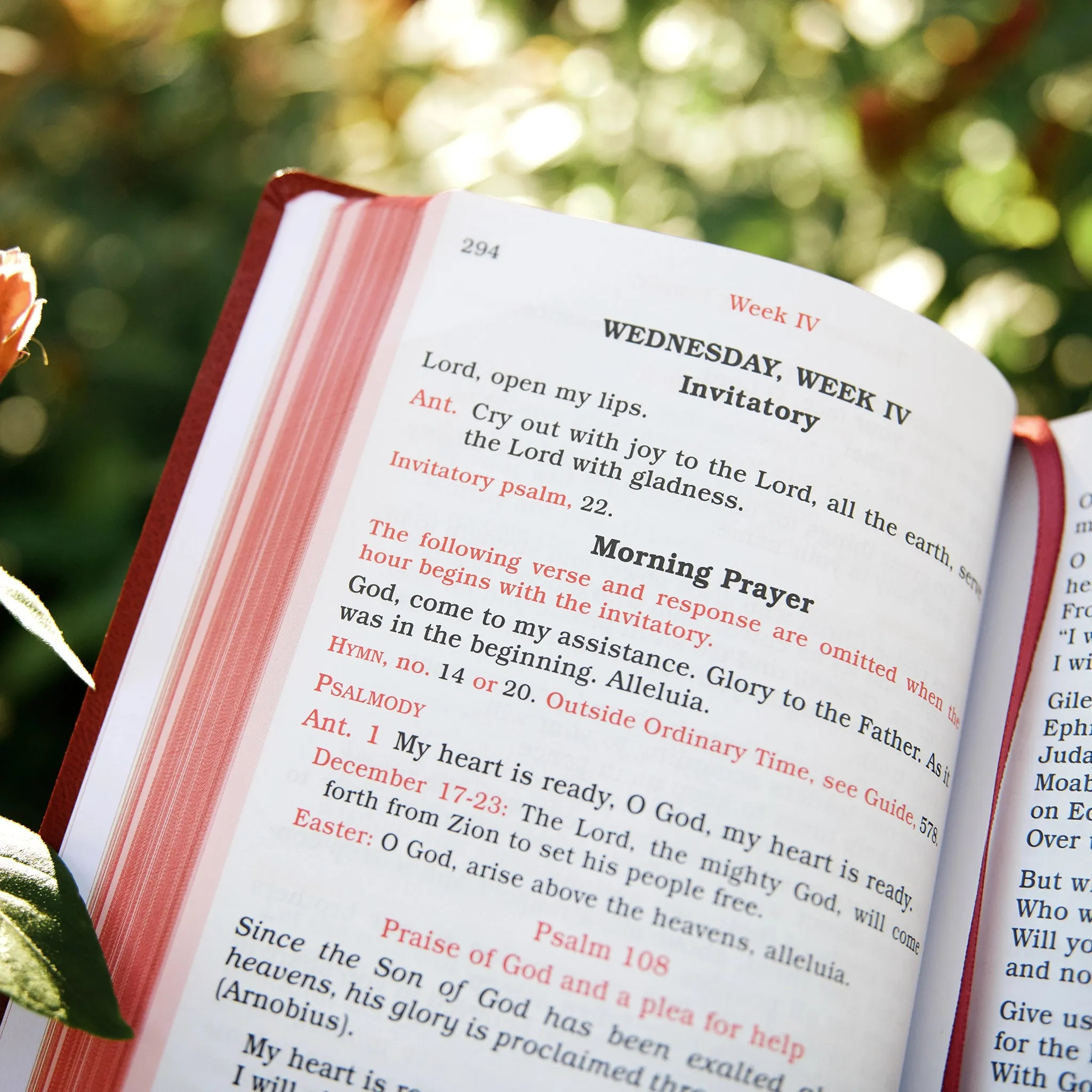 Shorter Christian Prayer: From the Liturgy of the Hours, First Edition - Image 17