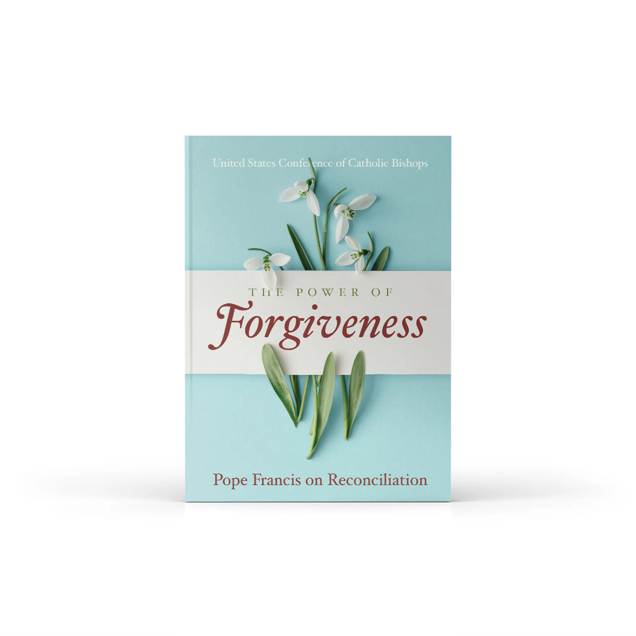 The Power of Forgiveness: Pope Francis on Reconciliation - Image 2