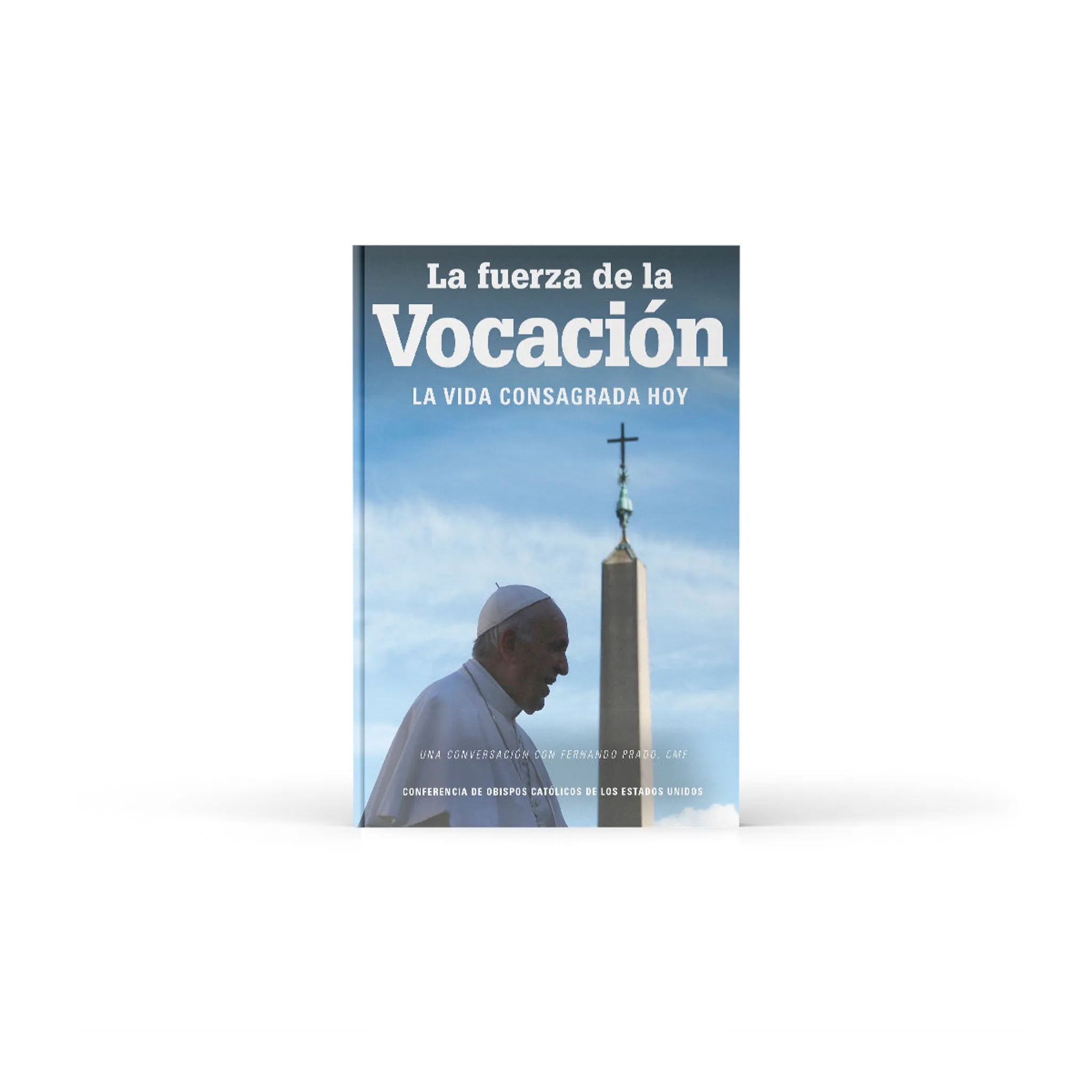 The Strength of a Vocation: Consecrated Life Today - Image 3